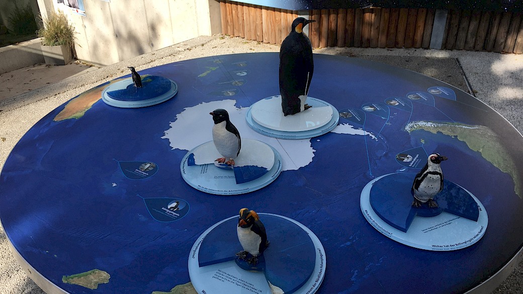 Die beiden Tische zeigen den Lebensraum der Pinguine sowie der Eisbären auf der Nord- und Südhalbkugel.